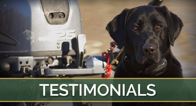 Stellar Retrievers, LLC Testimonials