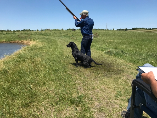 Vikingland HT June 2020