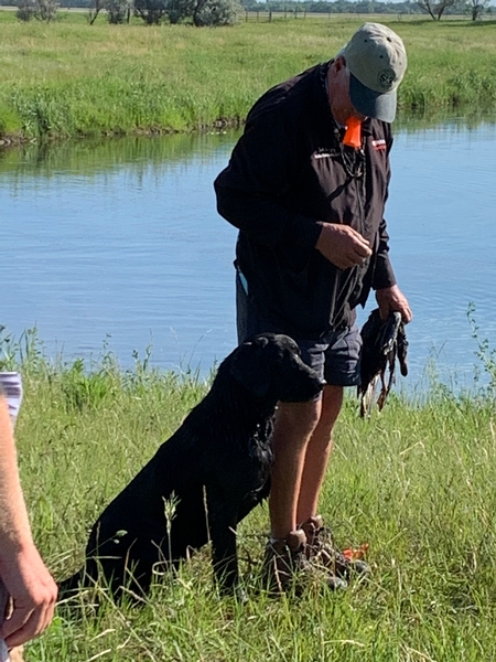 North Dakota RC Hunt Test