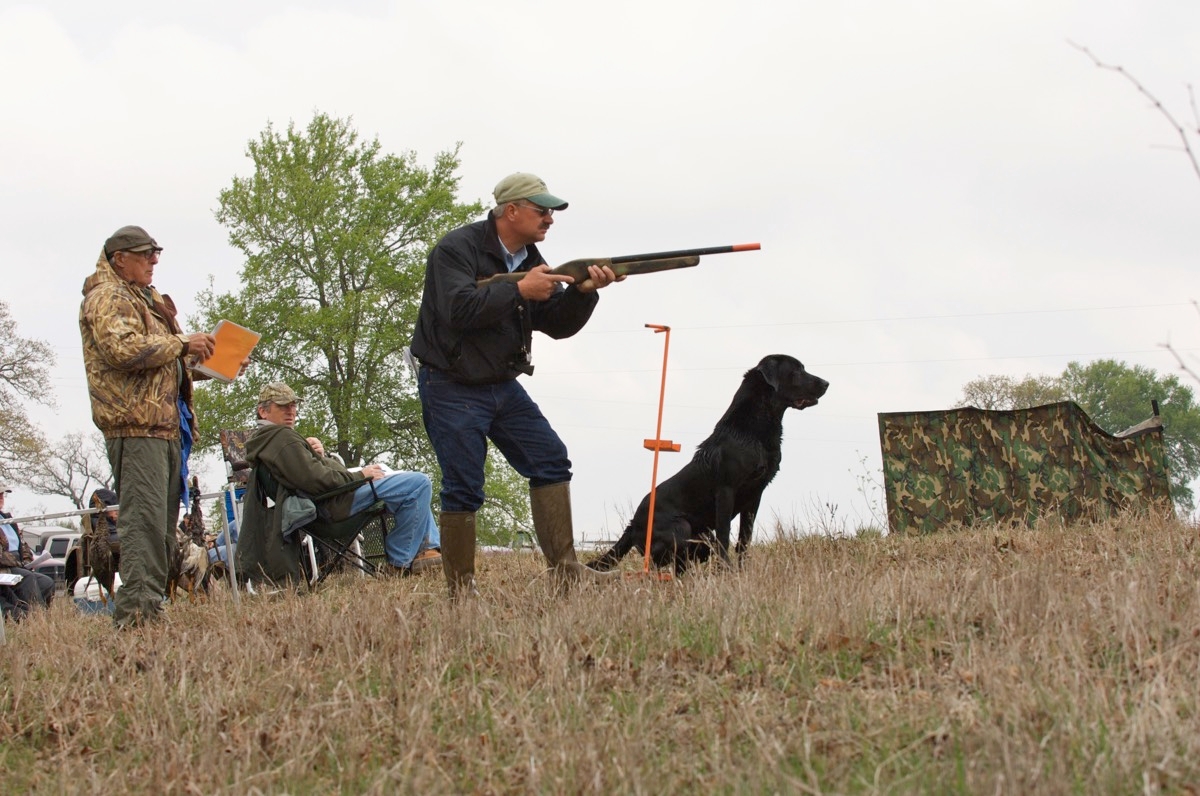 Hunt Test Training: $1050.00/month