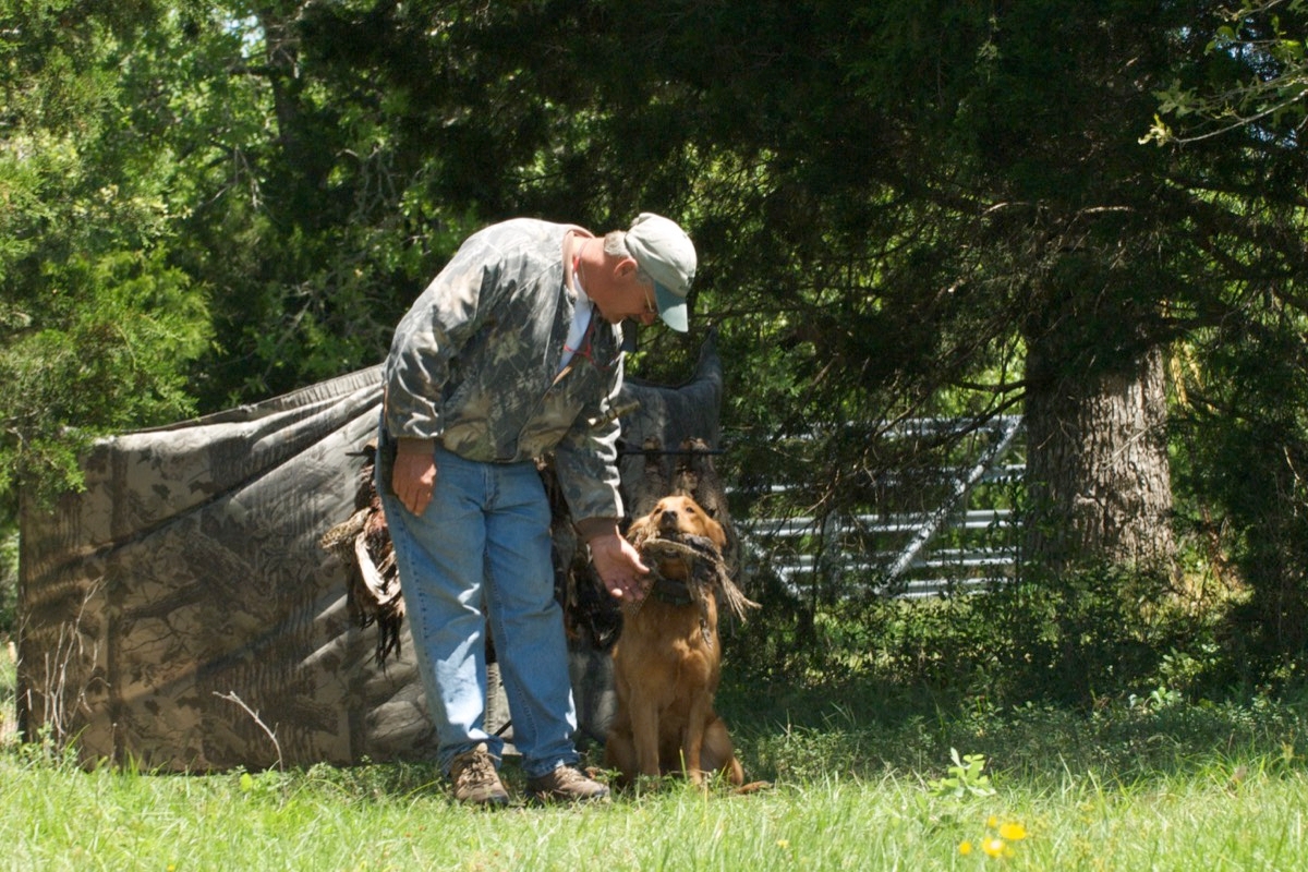 Training AKC Dogs in Texas