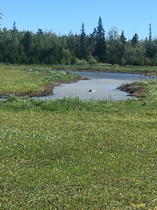 Pond, Blackduck MN