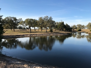Natural pond Giddings