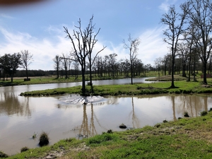 Vay’s Back Pond, Giddings