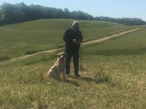 Coastal Bend RC Hunt Test 2022