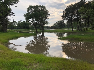Back Tech Pond