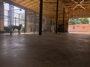 Main Kennel, Giddings