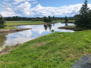 Pond 2, Blackduck MN
